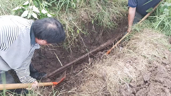 忠縣分公司石寶、紅星客運碼頭對消落期港區(qū)系泊設(shè)施設(shè)備進行維護保養(yǎng)3.jpg